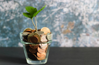 Get a financial education with Money Bro